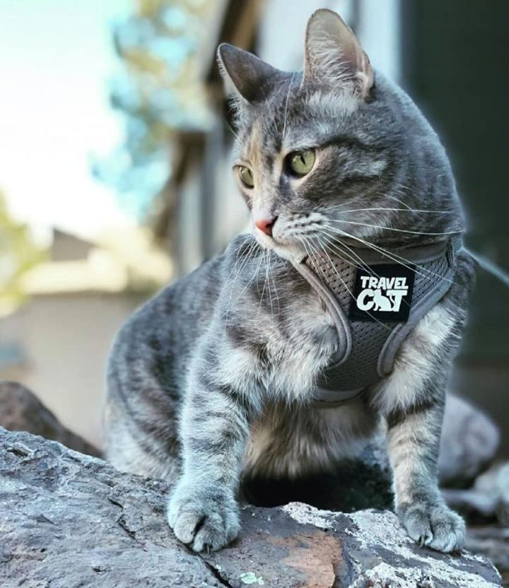 Travel Cat Harness And Leash Set - Adjustable Comfort Fit Mesh Vest Harnesses With Reflective Strap - Snug Fit Harness For Cats, Kitten For Outdoor Walking, Grey, Small (Chest 13-15.5 Inch)