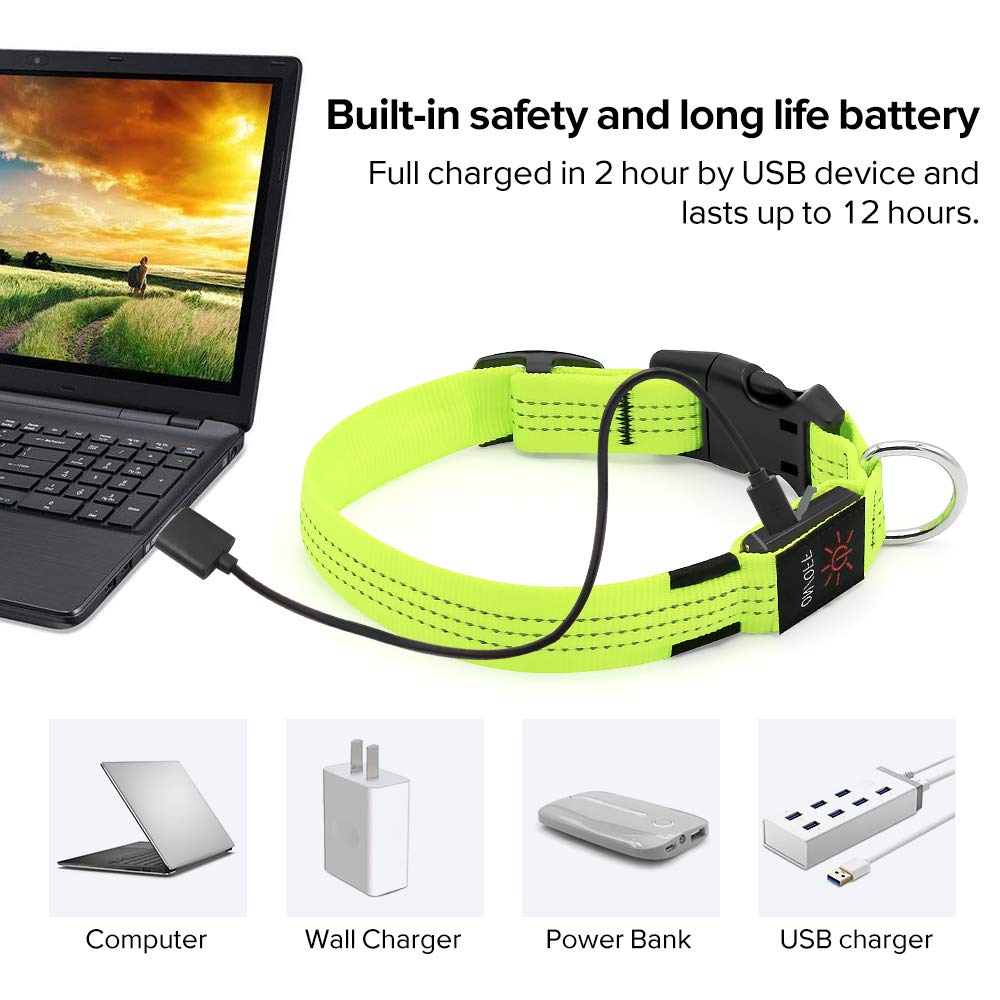 Illumifun Led Dog Collar, Nylon Reflective Light Up Dog Collar, Usb Rechargeable Pet Safety Collar Glow In The Dark (Greenⅲ, Small)