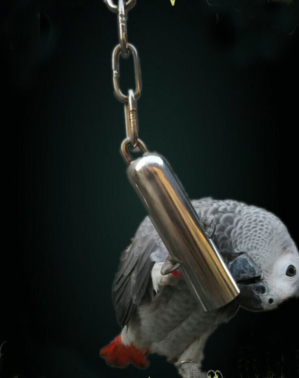 Stainless Steel Bell Toy For Birds,Heavy Duty Bird Cage Toys For Parrots, African Greys, Mini Macaws, Small Cockatoos, Cockatiels & More (Small Or Large)