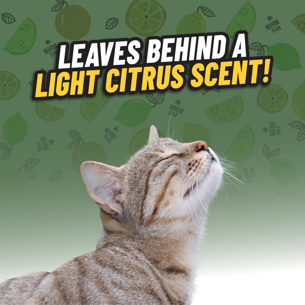 Ghosted Pet Odor Eliminator, Refresh Your Home, Car, Office, & More, From Chemical Guys (32 Fl Oz) - Fresh Citrus Scent - Pcs102