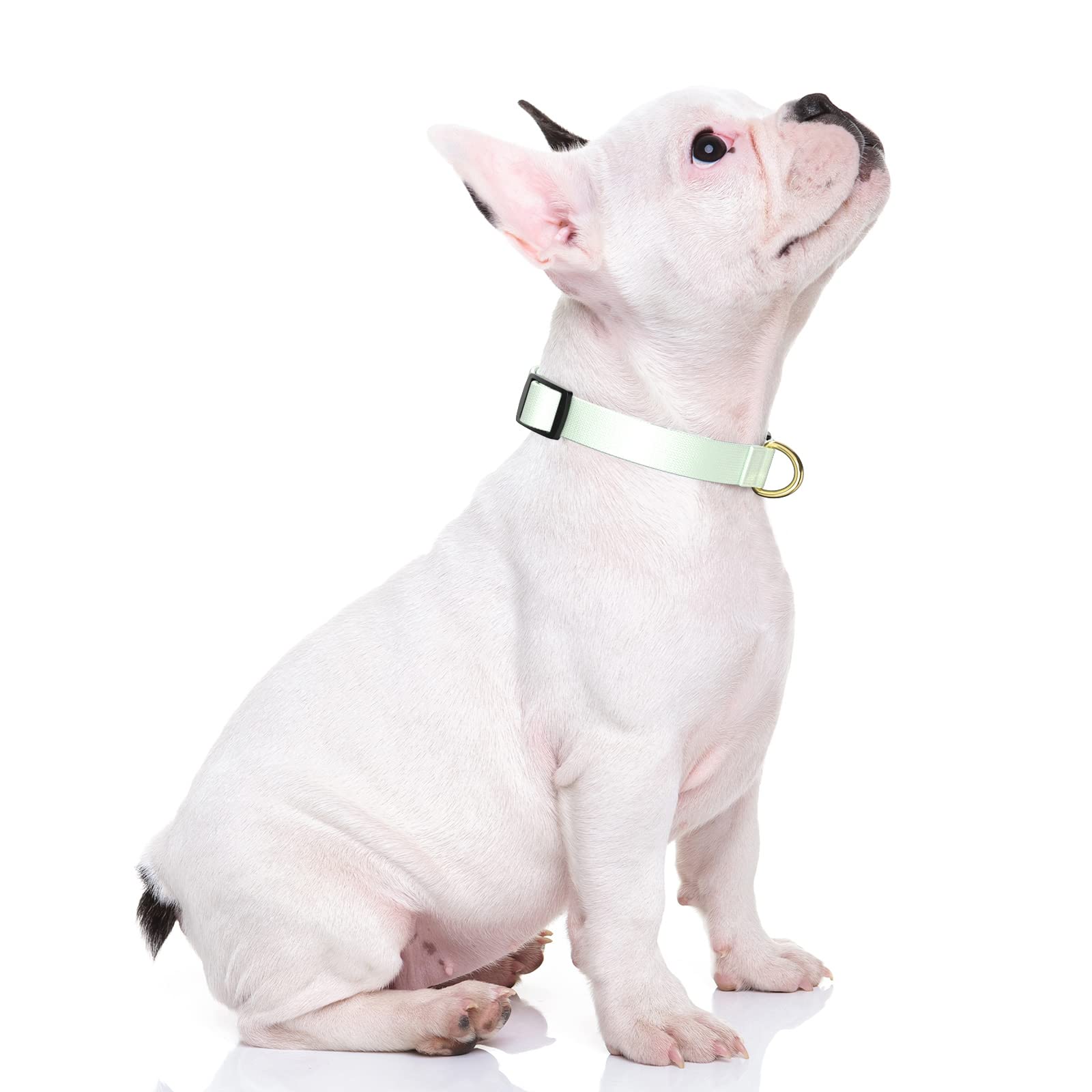 Rnivvi Dog Collar For Small Dogs, Classic Heavy Duty Adjustable Puppy Collar With Quick Release Buckle For Boy Girl & Female, Pe