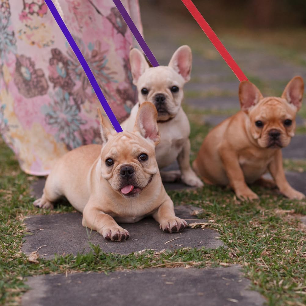 Homimp Slip Lead Dog Leash 6 Ft-8 Pcs Bulk Colors Kennel Control Leashes For Small Medium Large Dogs Puppy Animal Rescue, Groomi