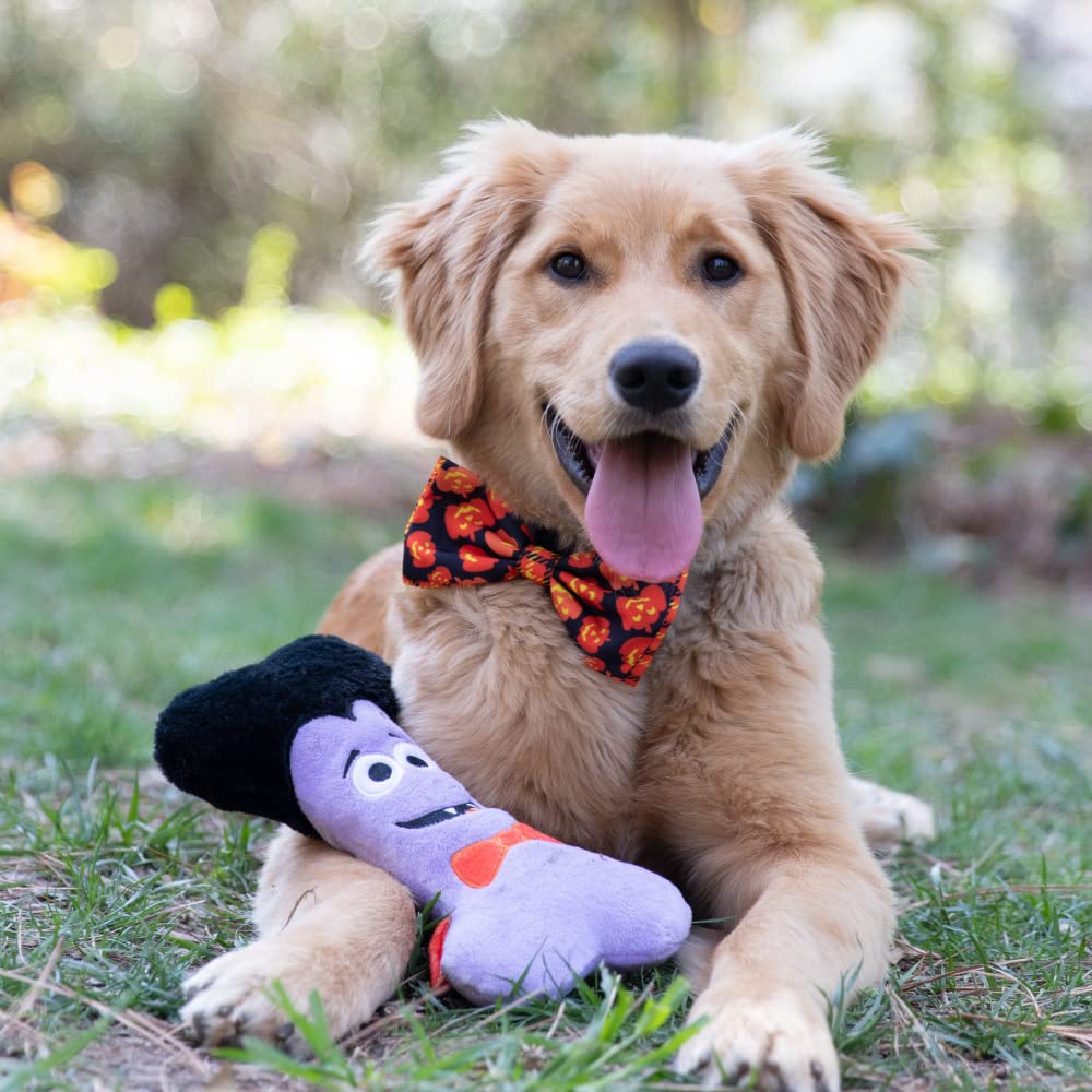Huxley & Kent For Dogs | Dracula Bone | Halloween Power Plush Dog Toy With Squeaker | Funny Dog Toy Gift | Fun, Durable, And Safe | H&K Squeaky Dog Toys