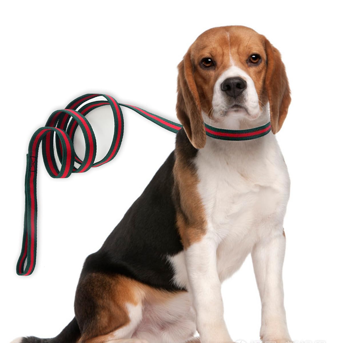 Premium Dog Collar, Cute Dog Collars Luxury Style, Durable Pet Collars And Dog Leash With Metal Buckle Safety For Puppy Small Do