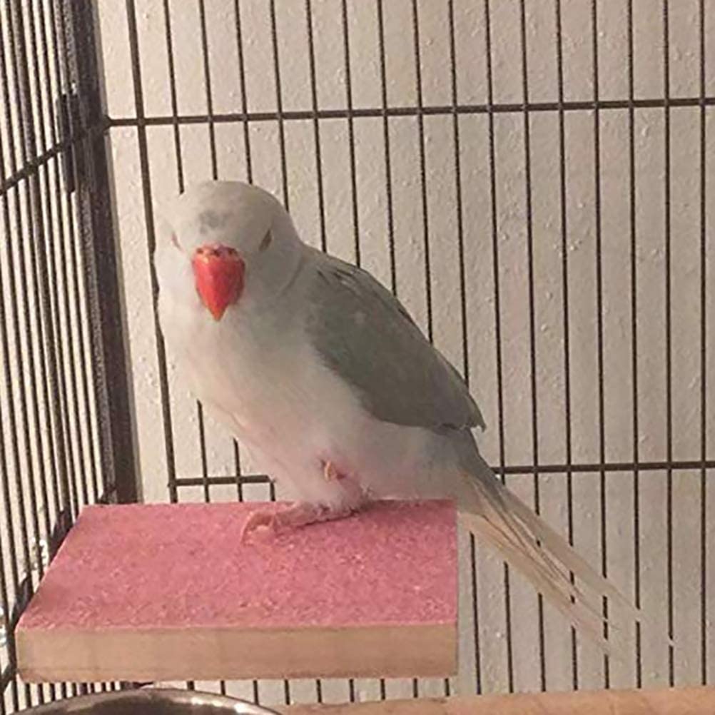 Kathson 4 Pcs Bird Perch Stand Toy Wood Parrot Perch Stand Platform Paw Grinding Rough-Surfaced Chew Toys Cage Accessories Exercise Toys For Budgies Parakeet Cockatiel Conure Hamster