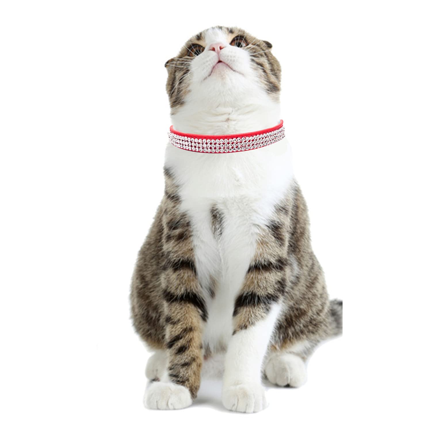 Thain Basic Adjustable Dog Cat Collar Bling Rhinestones Shing Diamonds Pu Leather With Rhinestones Buckle (Xs(Length 8-10),