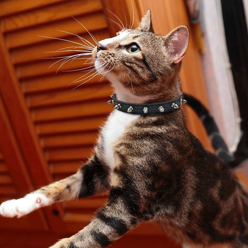 Enjoying Spiked Cat Collar, Leather Spikes Dog Collars For Cats Small Dogs, Adjustable Pet Collar With Rings, Black Xs