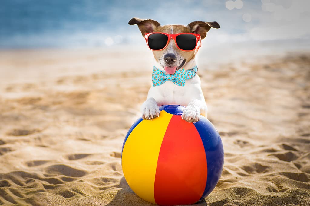 Lionet Paws Patriotic Dog And Cat Collar With Sailor Bow, 4Th Of July, Soft And Comfortable Adjustable American Flag Collar For