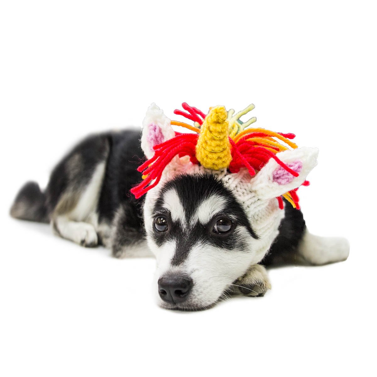 Zoo Snoods Unicorn Costume for Dogs & Cats, Small - Warm No Flap Ear Wrap Hood for Pets, Dog Outfit for Winters, Halloween, Chri
