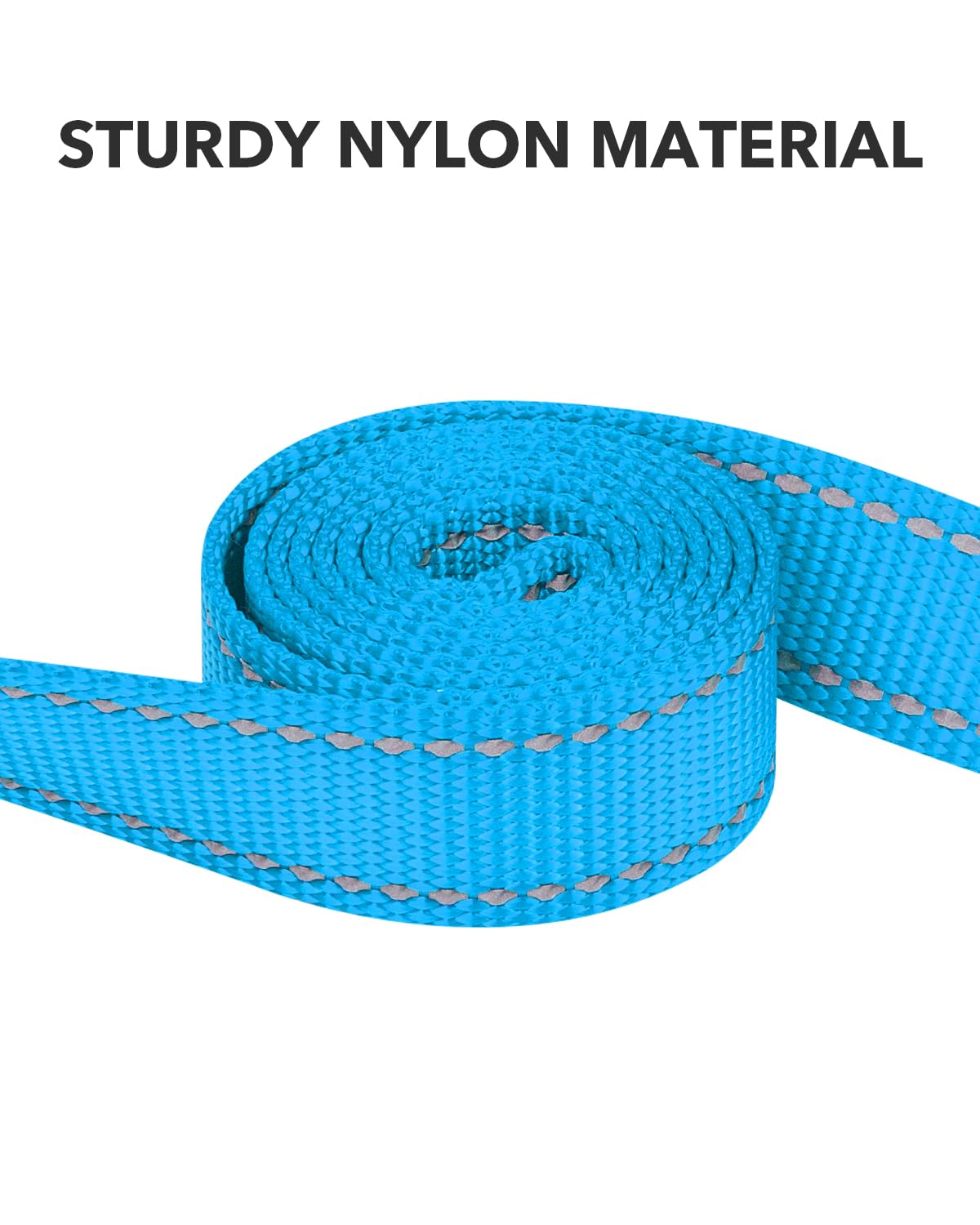 Taglory Nylon Dog Leash 6Ft, Soft Padded Handle Pet Reflective Leashes For Medium Large Dogs Walking & Training, Sky Blue