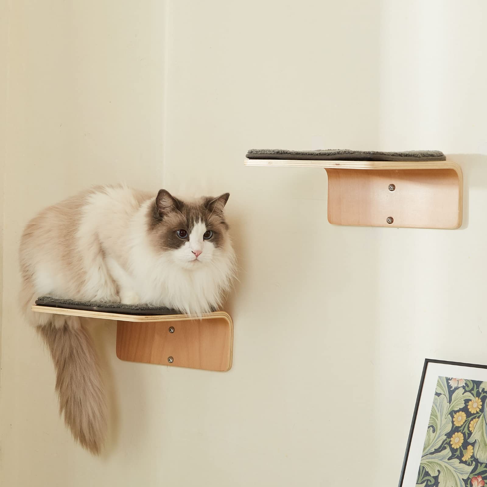 LIORCE 2 Set Cat Wall Steps - Wooden Cat Climbing Shelf for Wall - Cats Wall Stairs with Scratching Mat - Wall Mounted Cats Furn