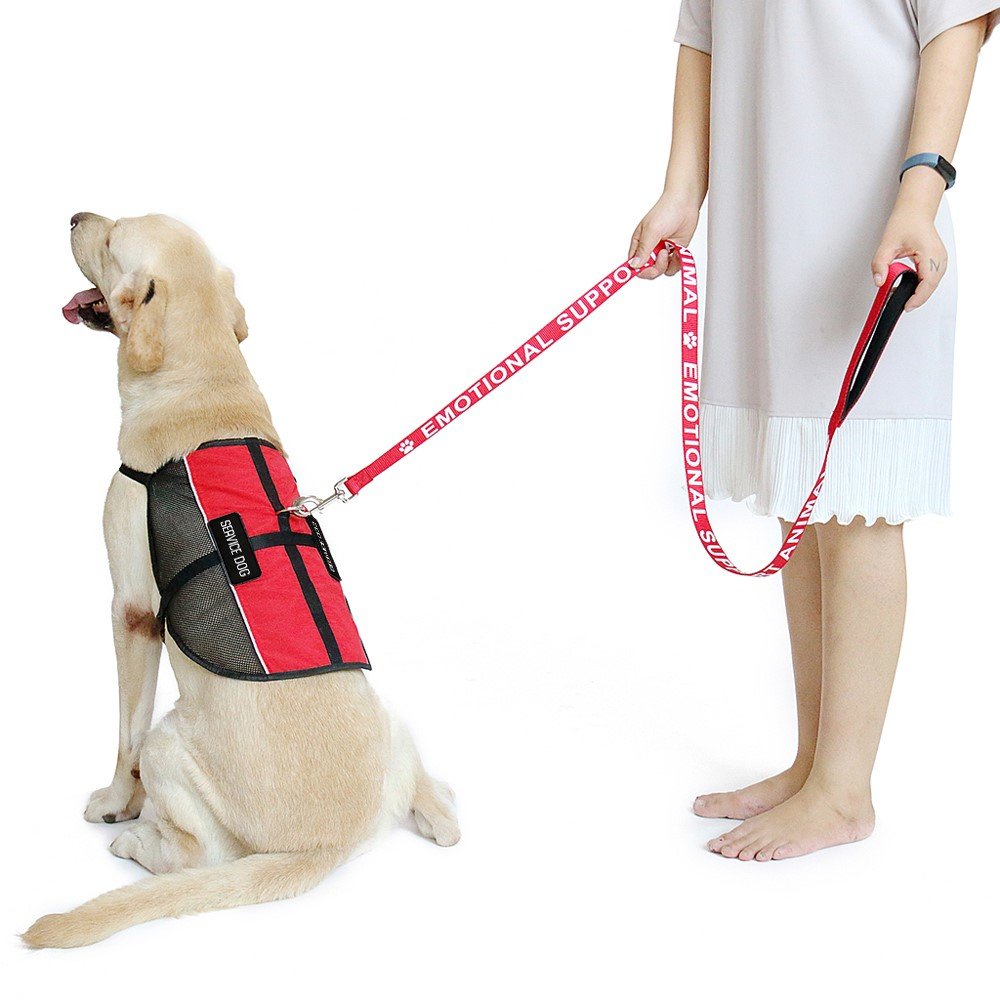 Plutus Pet Service Dog Vest With 2 Removable Patches, Light Weight And Breathable Mesh Service Animal Harness,Perfect For Summer And Hot Days,Red,S,Girth 18.7-22.8'