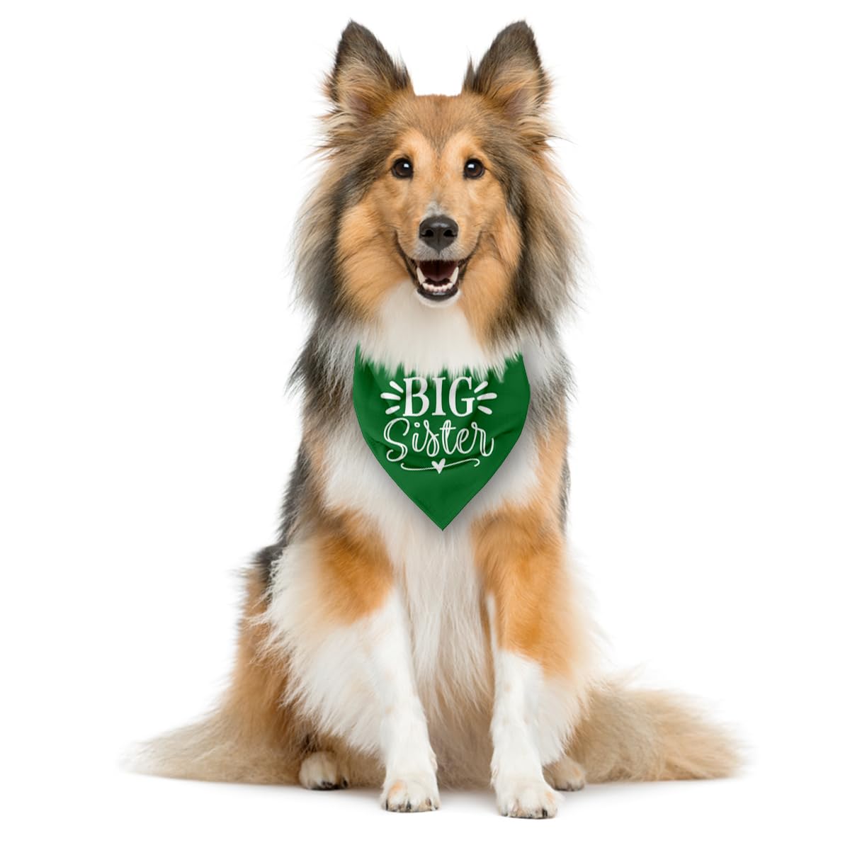 Zpprjf Big Sister Dog Bandana, Green, Triangle, 25 X 17 Inches, Flannel, Comfortable, Water Resistant, Geometric Pattern, Baby S