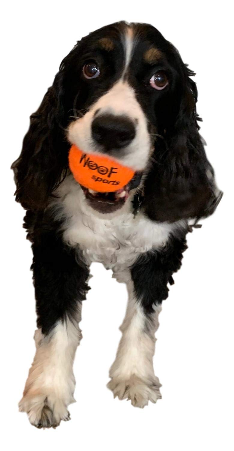 Woof Sports Dog Tennis Balls 12 Orange Tennis Balls For Dogs. Easy To Find! Includes Carrying Bag. Medium Size Balls Fits Standard Ball Launchers