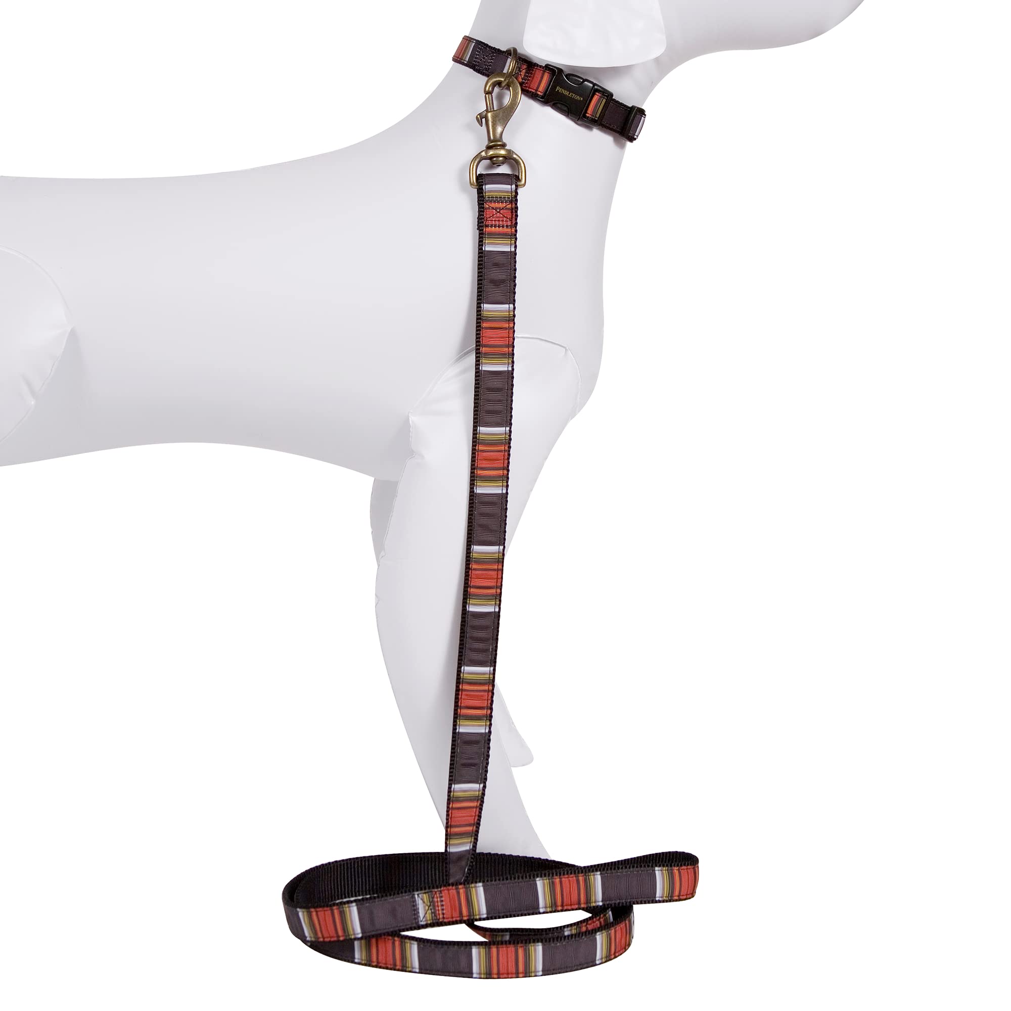 The Pendleton Collection Hiker Dog Collar, Acadia Small