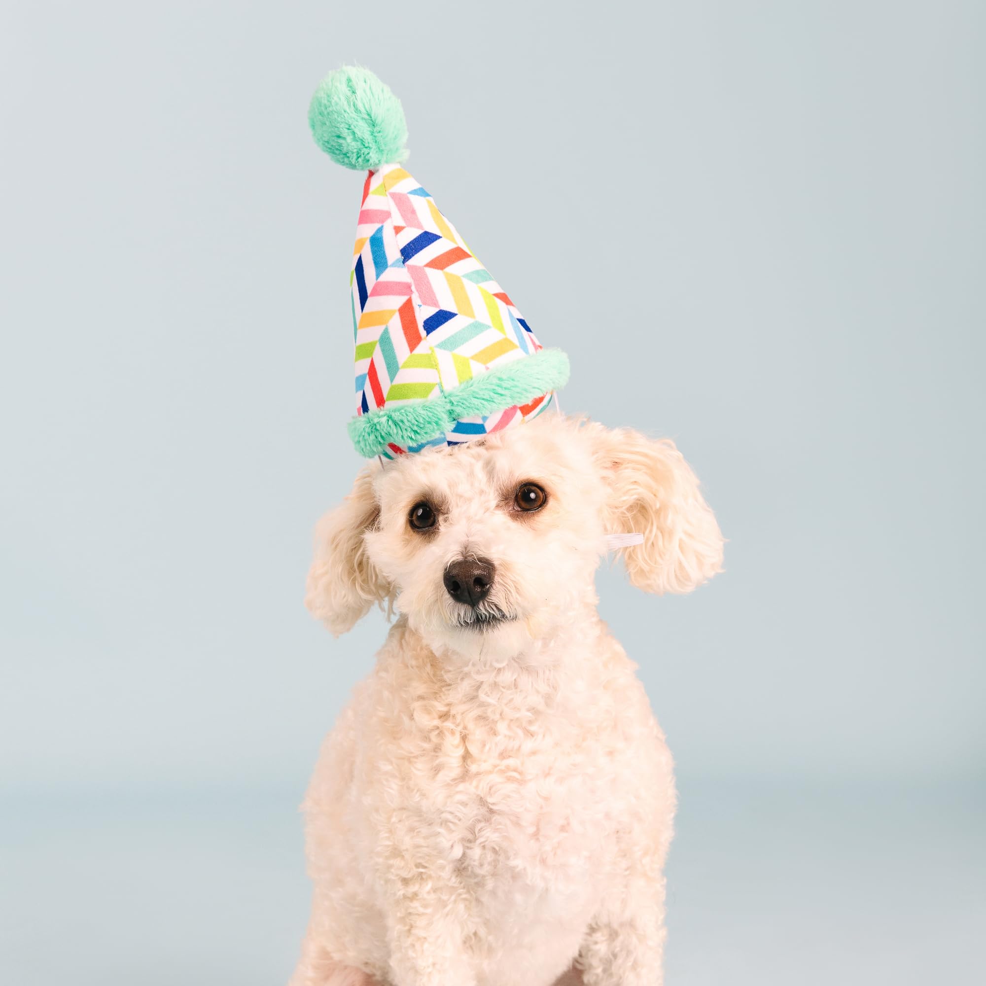 Fringe Studio Plush Dog Toy, Cheers For A Barkday, Pet Shop Collection (314246)