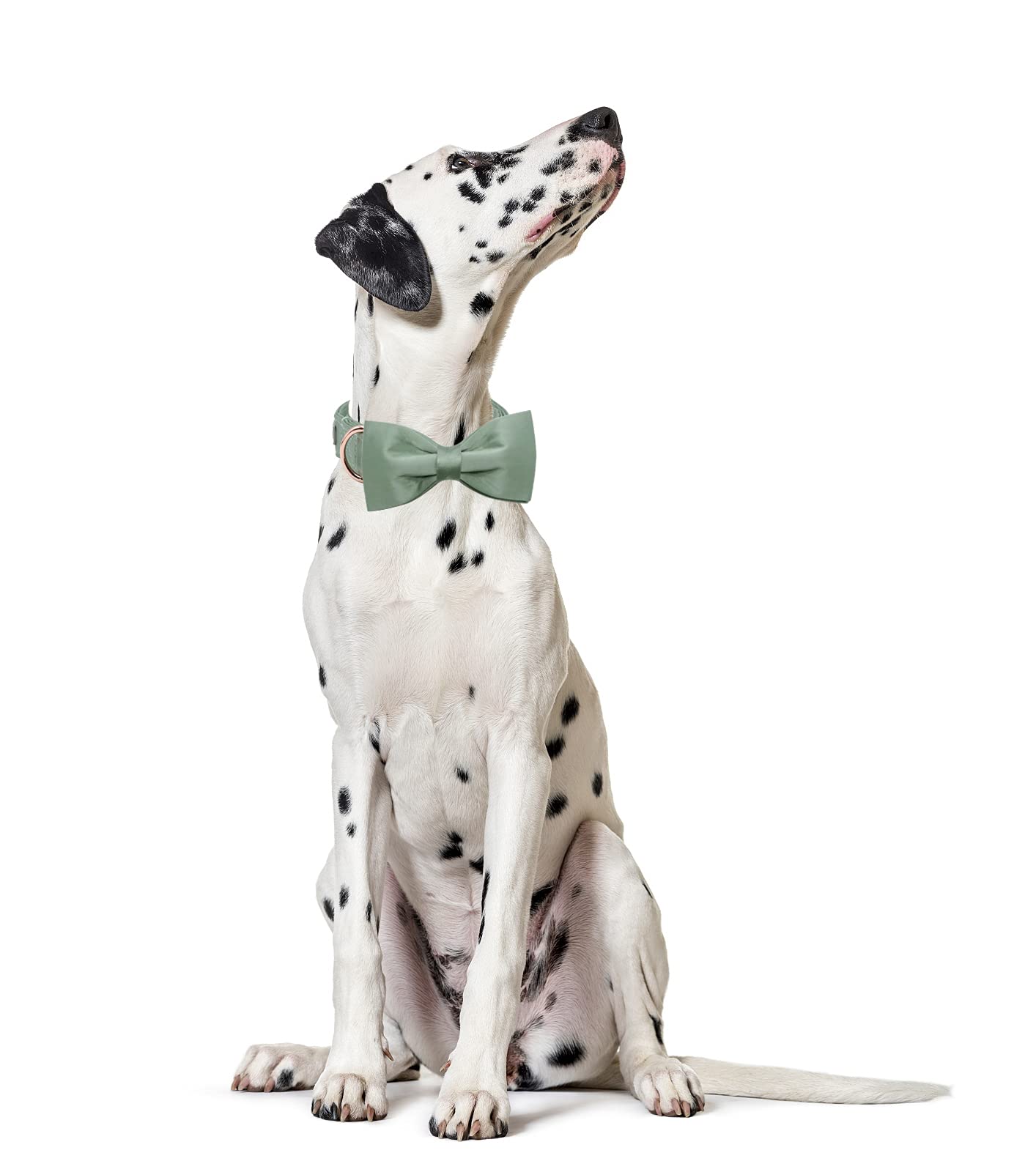 Lionet Paws Bowtie Dog Collar - Comfortable Silk Green Dog Collar With Detachable Bow Tie For Large Dogs, Neck 16-24 Inches