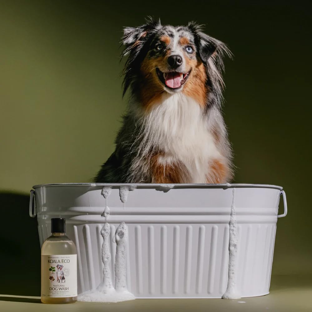 Koala Eco Natural Dog Cleaner, Plant Based Pet Shampoo, Hypoallergenic, Sweet Marjoram & Rosalina Essential Oil -16oz