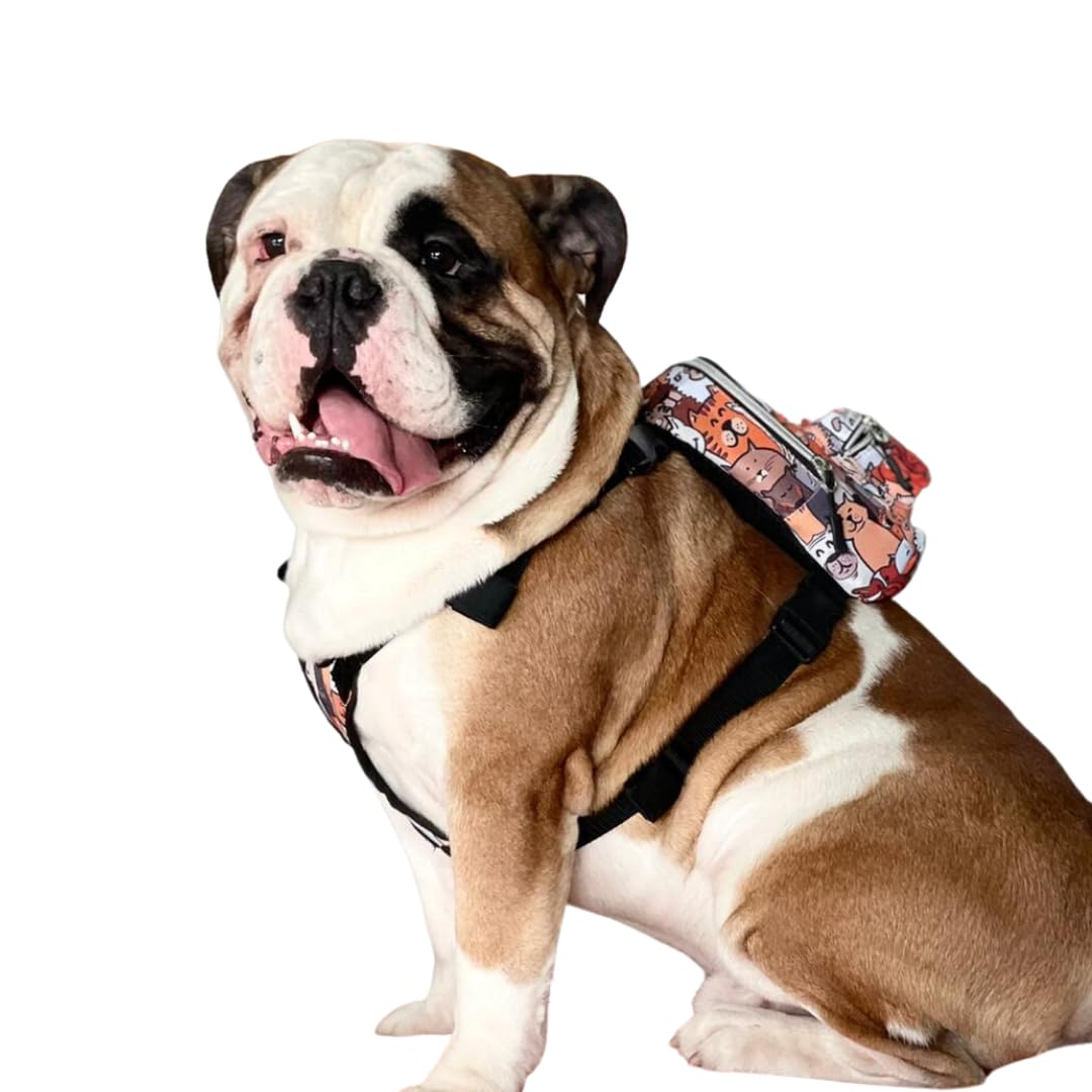 Pawlook Design Dog Backpack Harness With Leash-Stylish Dogbagpack-Poop Bag Dispenser Dog Backpack-Dog Self Carrier Backpack-Dog 