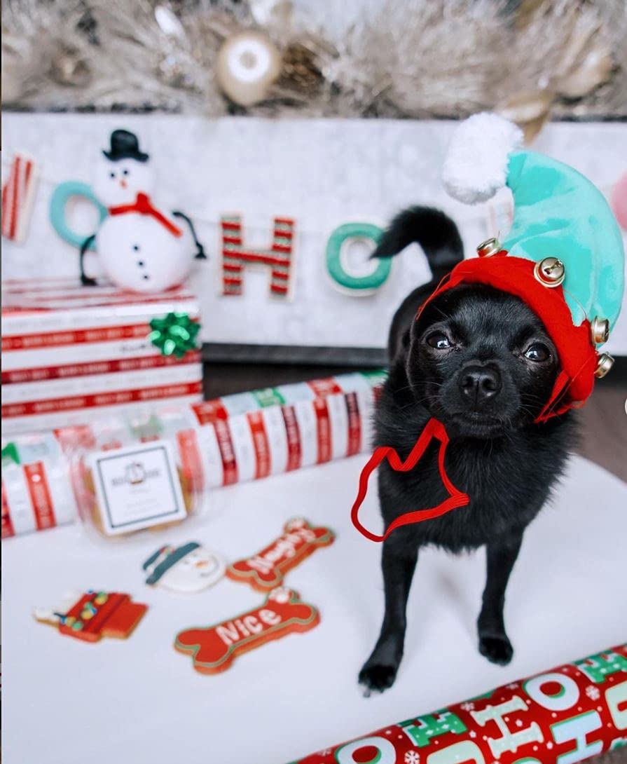 BoxDog Christmas Cookies for Dogs Handmade Holiday Cookie Gift for Dogs | Christmas Dog Treats You can eat with Your Dog! |