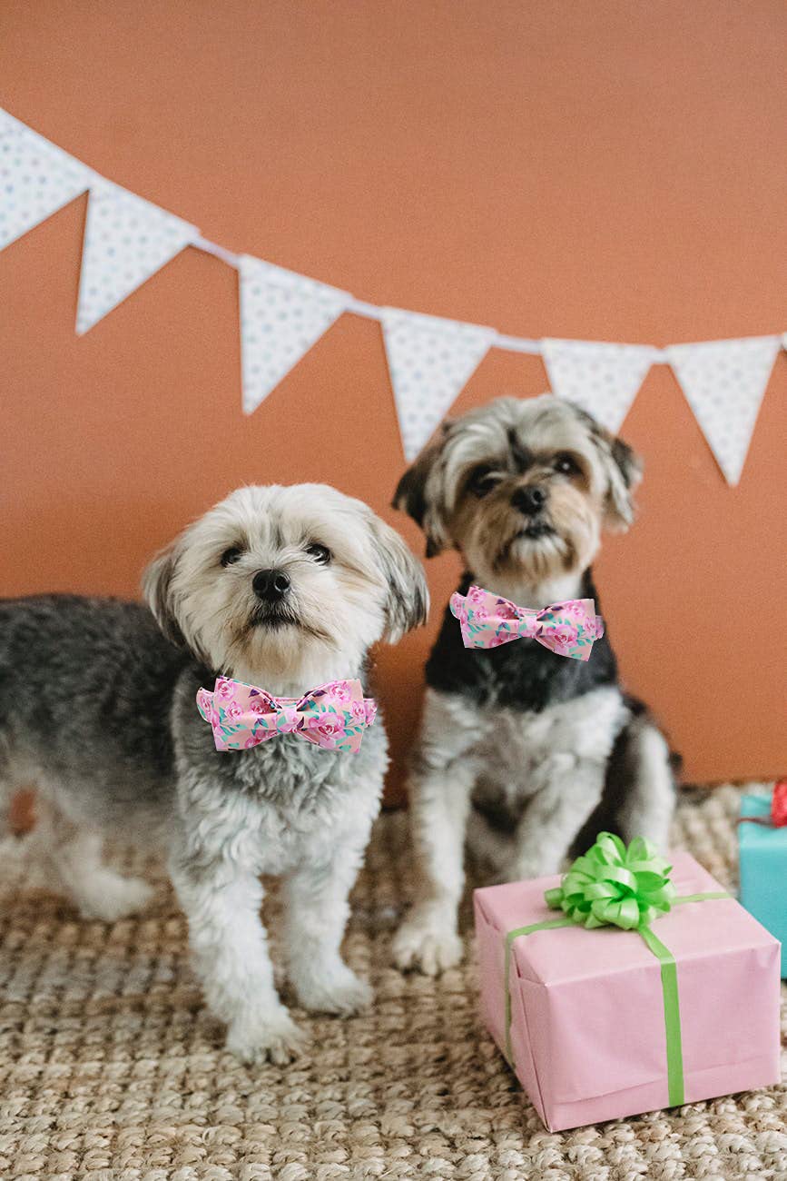 Lionheart Glory Floral Rose Print Dog Collar Adjustable Soft Dog Collar With Bowtie, Girl Pet Collars For X-Small Small Medium L