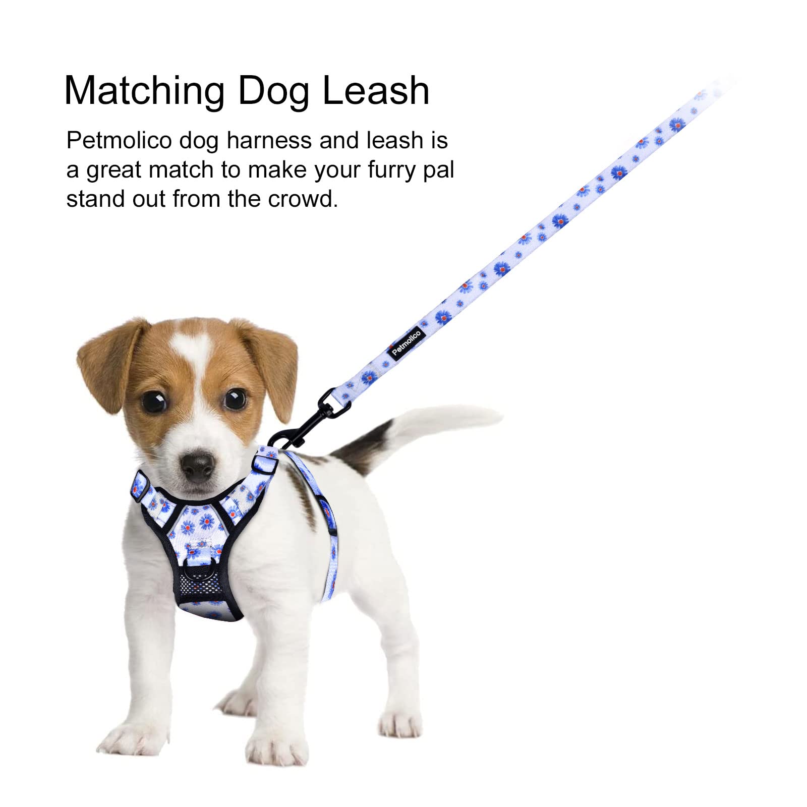 Petmolico No Pull Dog Harness & Leash Set, Medium Daisy, Soft Padded, Reflective, 2 Leash Attachments, Easy Control Handle, Model PT334