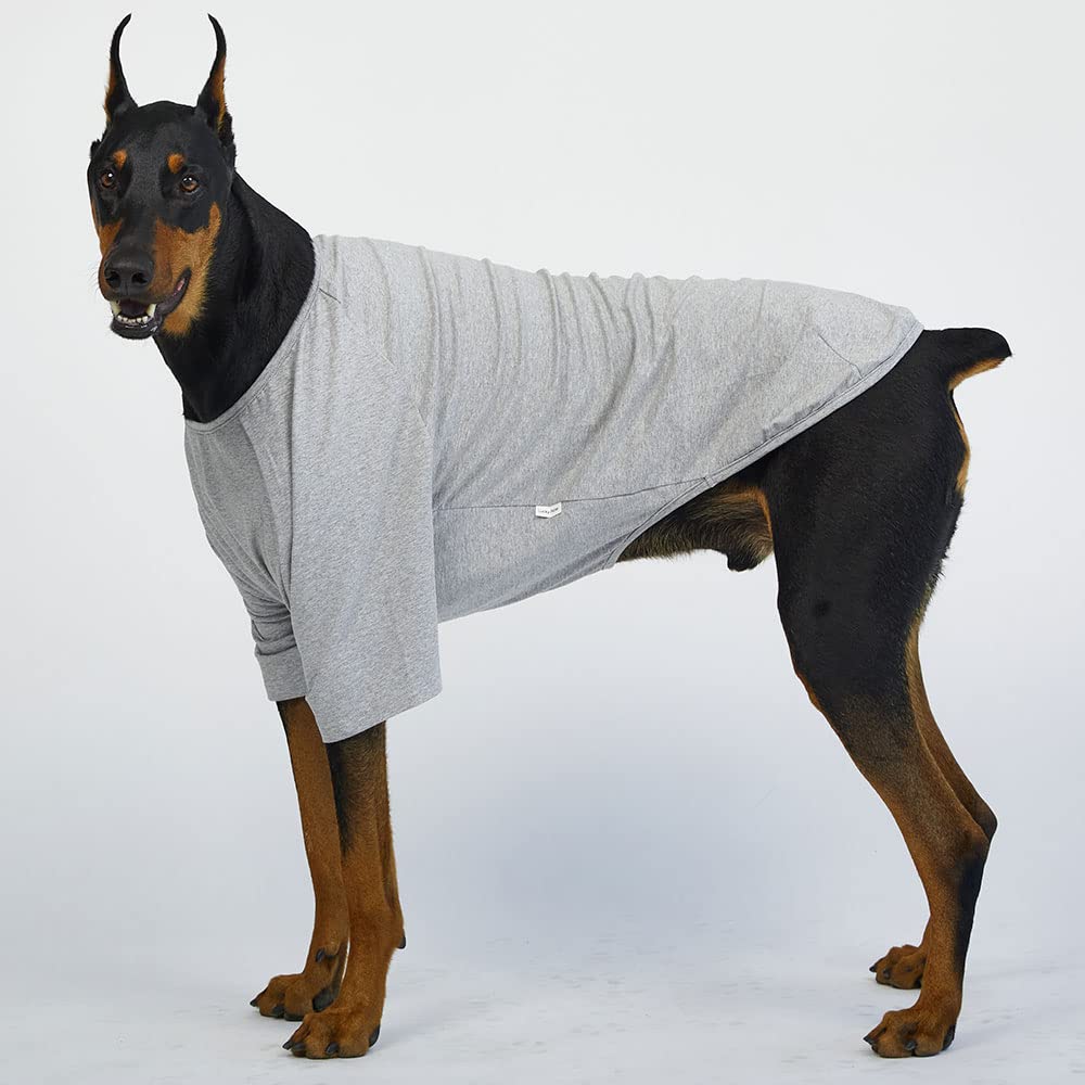Lucky Petter Dog Shirt For Small Dogs Plain T-Shirts Soft Breathable Dog Cotton Shirt Pet Clothes (X-Large, Gray)