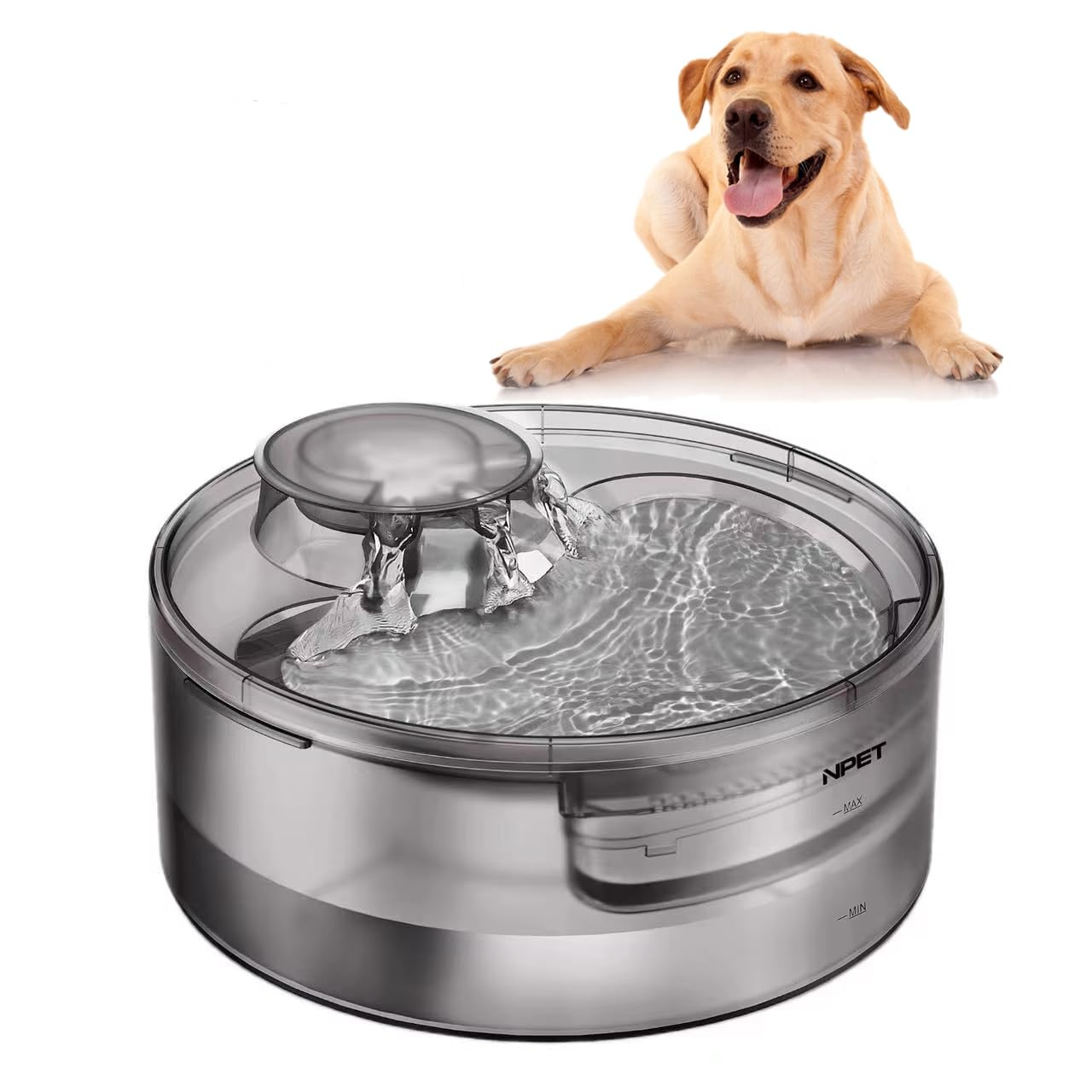 NPET Large Dog Water Fountain,169oz/5L Deep Drinking Area Automatic Pet Fountains Filtration Water Dispenser with Quiet Pump for