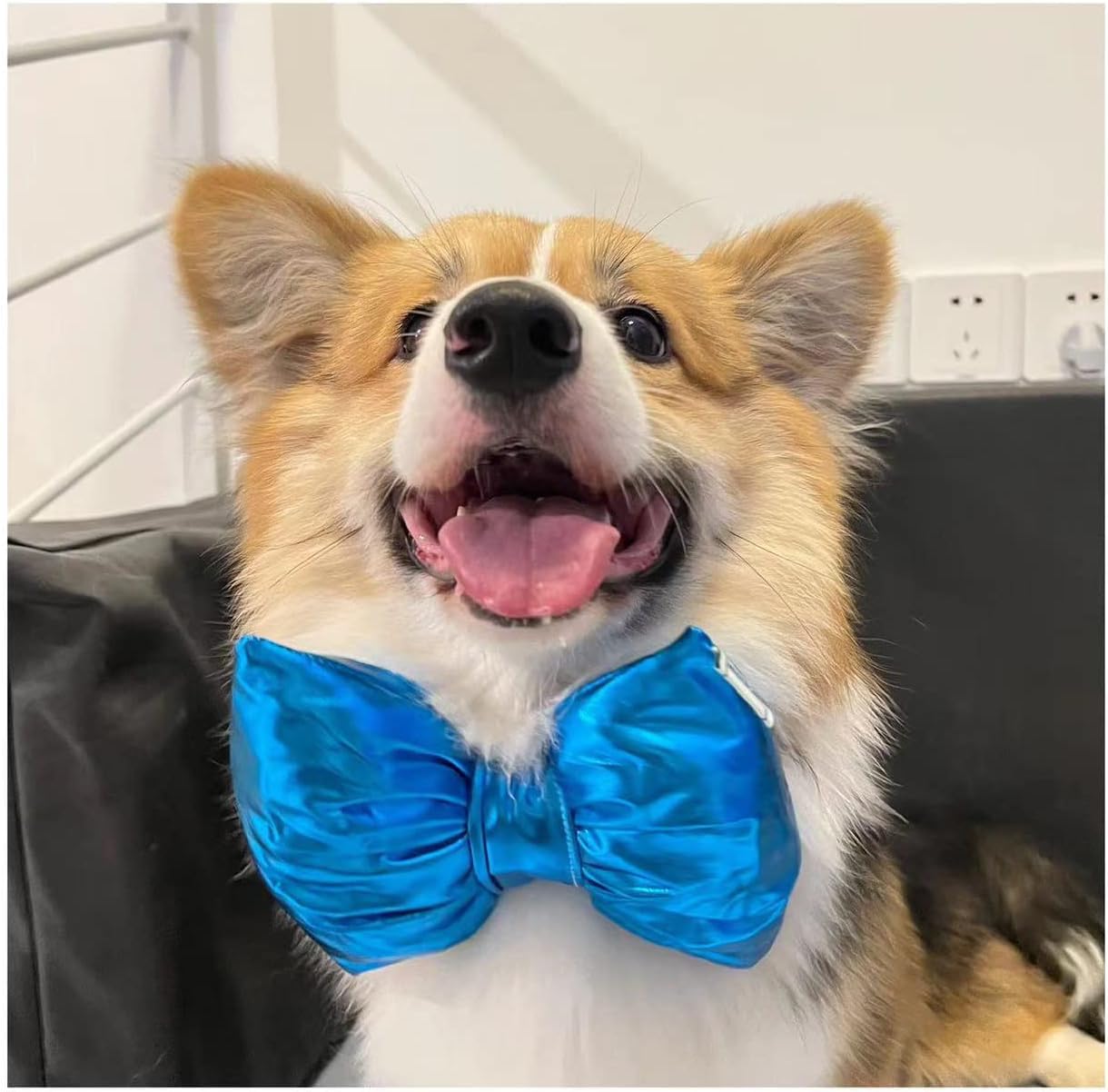 Dog Collar With Bowtie, Durable Detachable Adjustable And Comfortable Bow Tie Dog Collar For Small Dogs Puppies And Cats, Neck 1