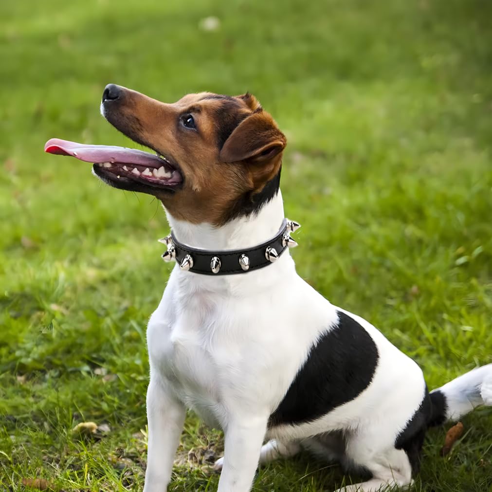 Dog Spike Collars, Studded Dog Collar Boy,Spiky Stud Rivet Pu Leather Mushroom Pet Collars Adjustable For Xxs Xs Small Medium Br