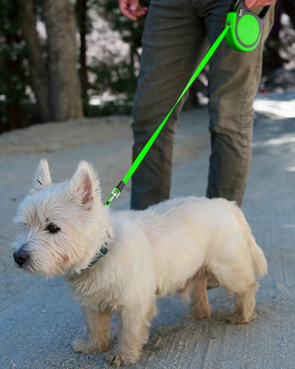 Taglory Retractable Dog Leash, 16Ft No Tangle Leash Retractable For Small Medium Dogs Up To 44 Lbs, One-Handed Brake, Pause, Loc