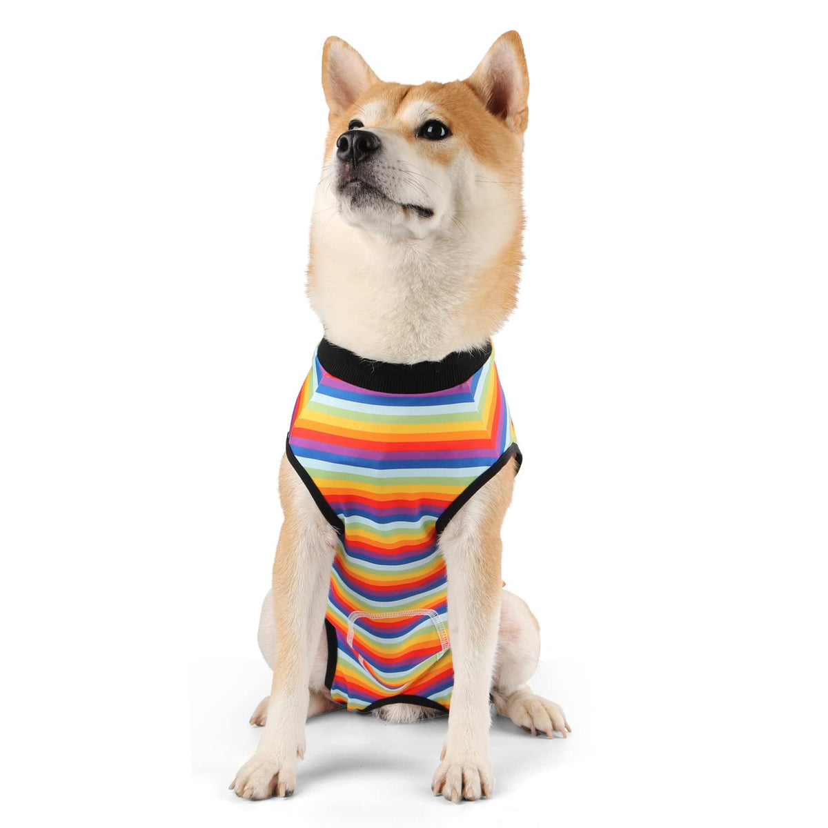 Etdane Recovery Suit For Dog Cat After Surgery Dog Surgical Recovery Onesie Female Male Pet Bodysuit Dog Cone Alternative Abdominal Wounds Protector Rainbow Stripe/Small