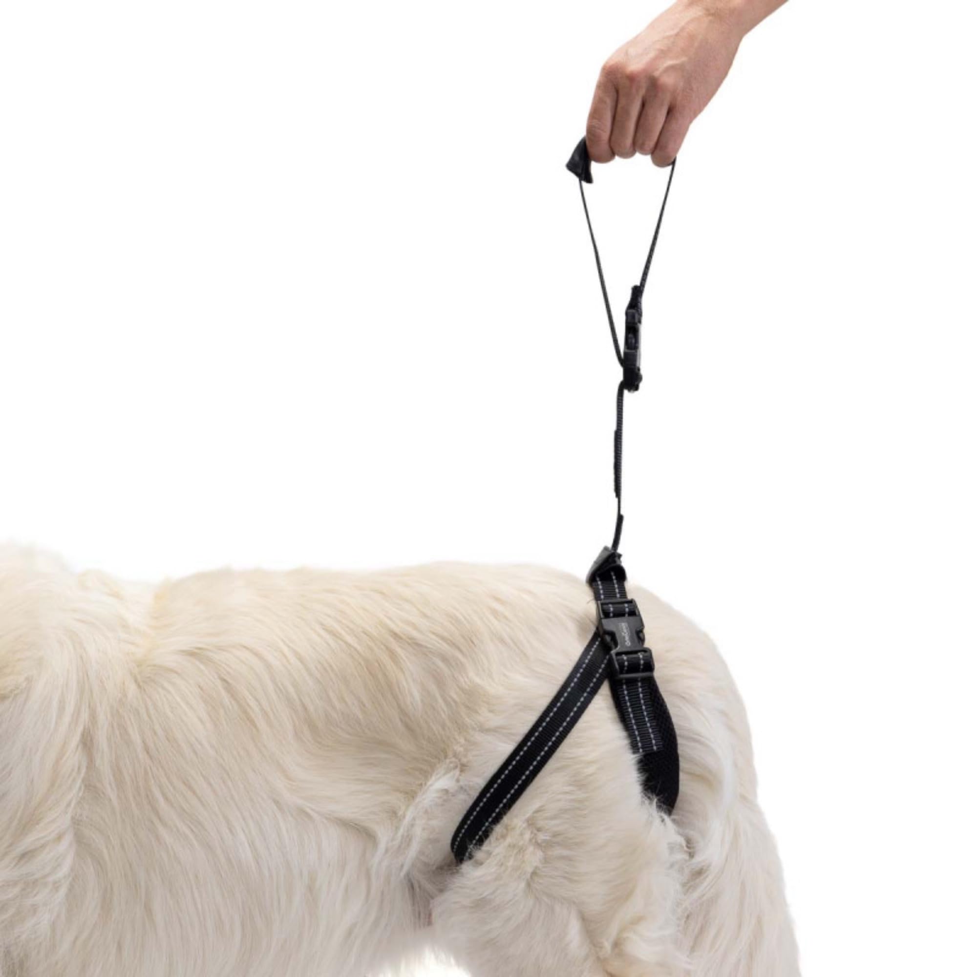 Ortocanis - Rear Harness Support For Dogs. One Size (For Dogs From 4 To 55 Kg)