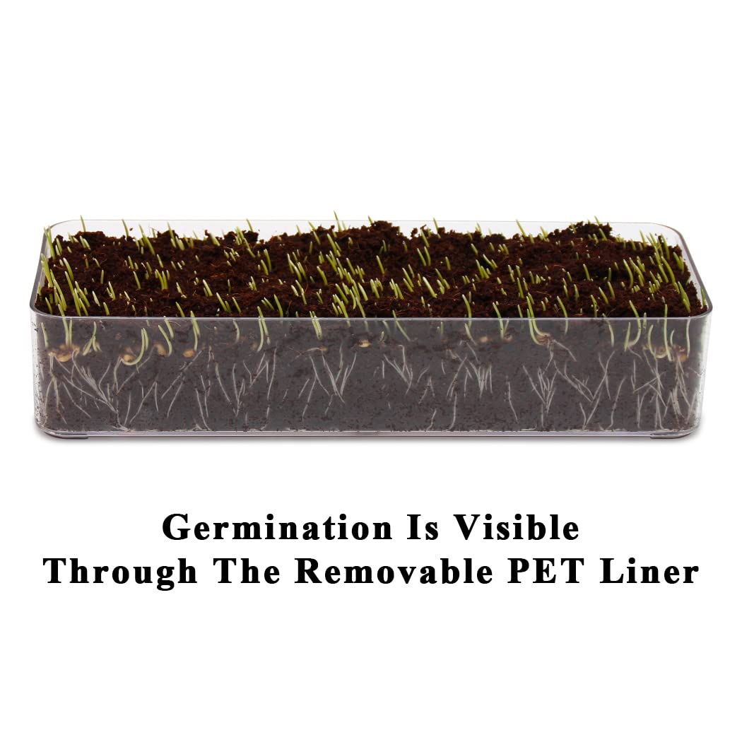 BENPIN Wooden Cat Grass Planter (no Seeds Included) with Anti Digging Design, and Removable Plastic Liner, Wheat Grass Growing P
