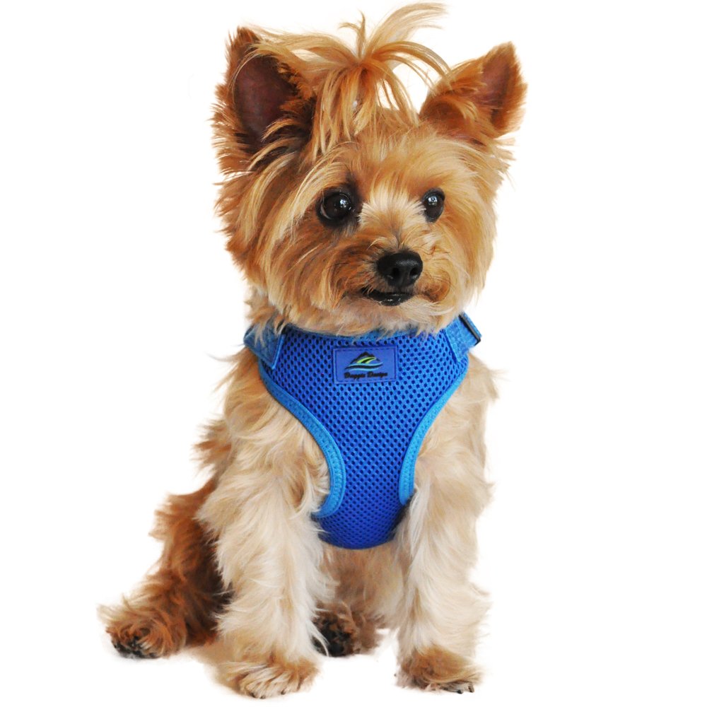 Doggie Design Soft Lightweight Wrap And Snap Choke Free Dog Harness - Cobalt Blue (Xs)