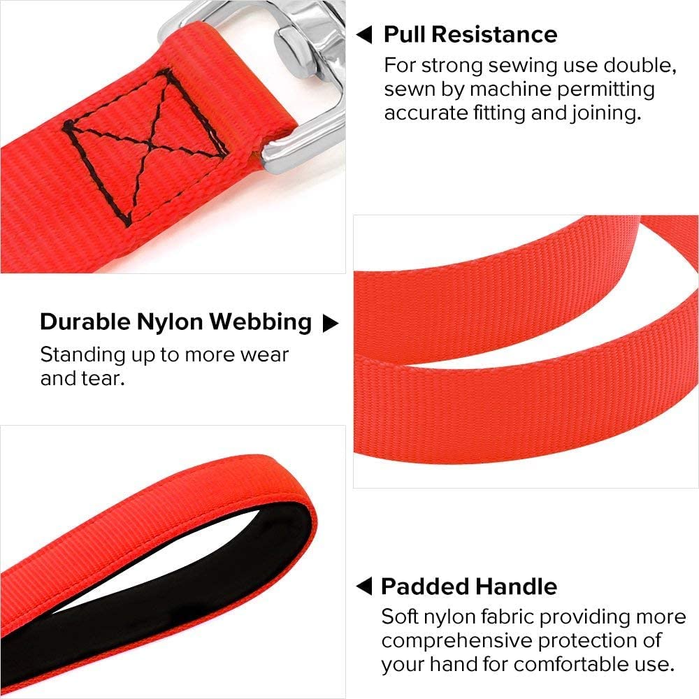 Colaseeme Light Up Dog Leash, 4FT LED Pet Leashes Micro USB Rechargeable, Nylon Glow Safety Dogs Lights at Night (Red)
