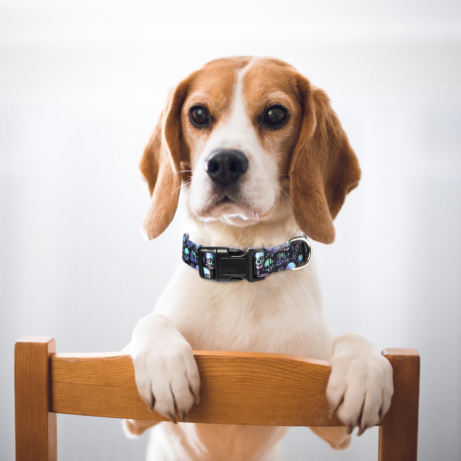 Skull Dog Collars For Medium Dogs,Adjustable Comfy Soft Durable Male Collar For Small Medium Large Extra Large Boy Dogs(Skull M)