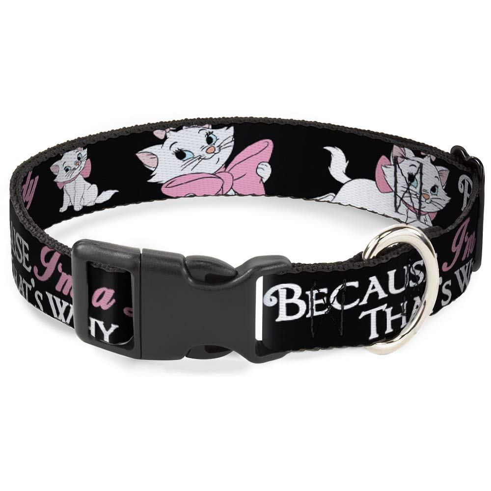 Buckle-Down Dog Collar Plastic Clip Aristocats Marie 3 Poses Because Im A Lady Thats Why Black, Multi Color, 1'' Wide - Fits 1