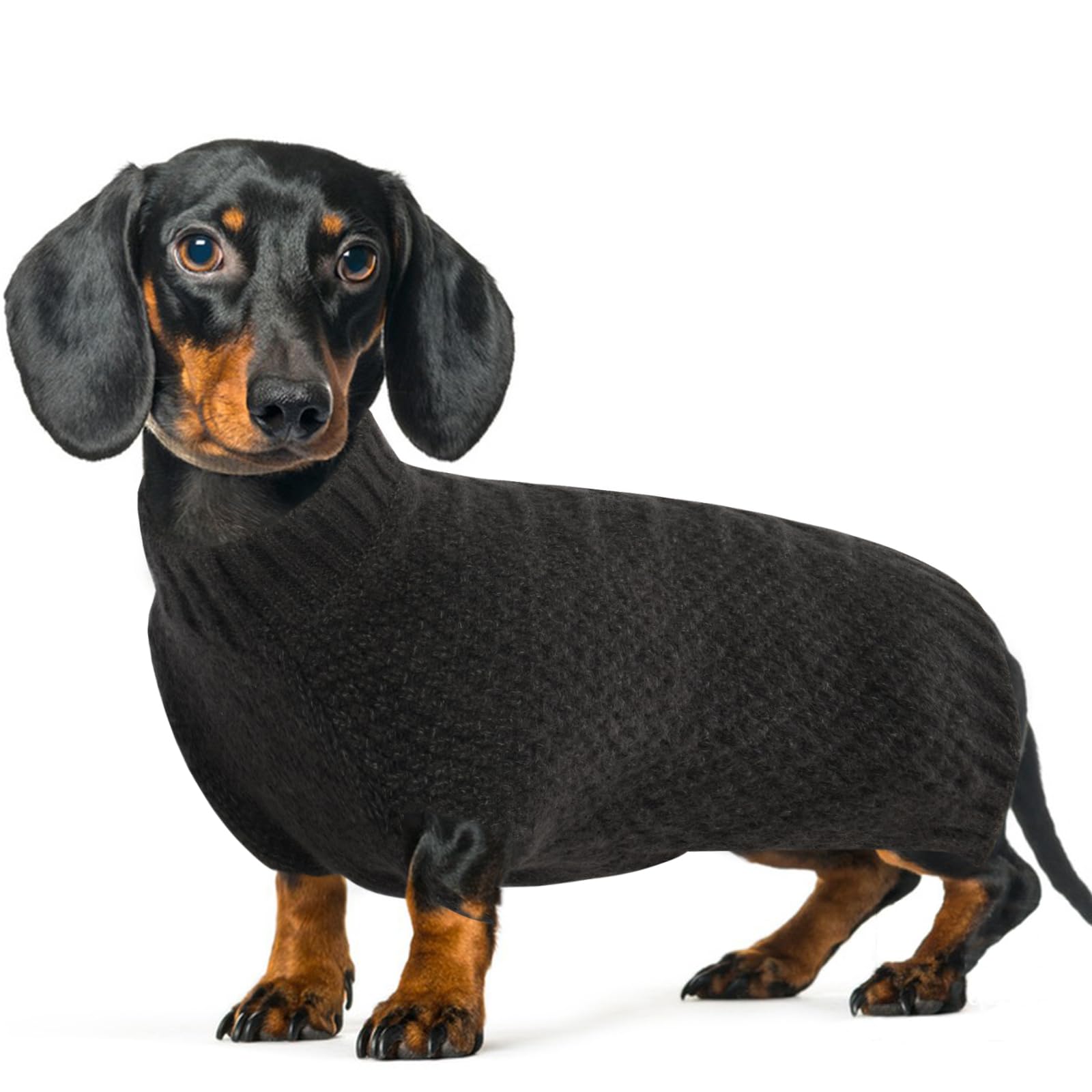 IECOii Dog Sweater,Dog Sweaters for Medium Dogs Girl and Boy,Thermal Knitted Dog Christmas Sweater for Cold Weather,Small Medium