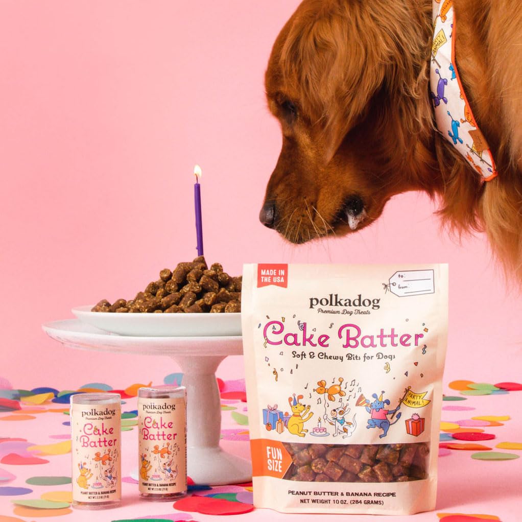 Polkadog Premium Healthy Dog Birthday Treat - Soft, Chewy & Vegan Treats - New England Peanut Butter and Banana Small Batch Reci
