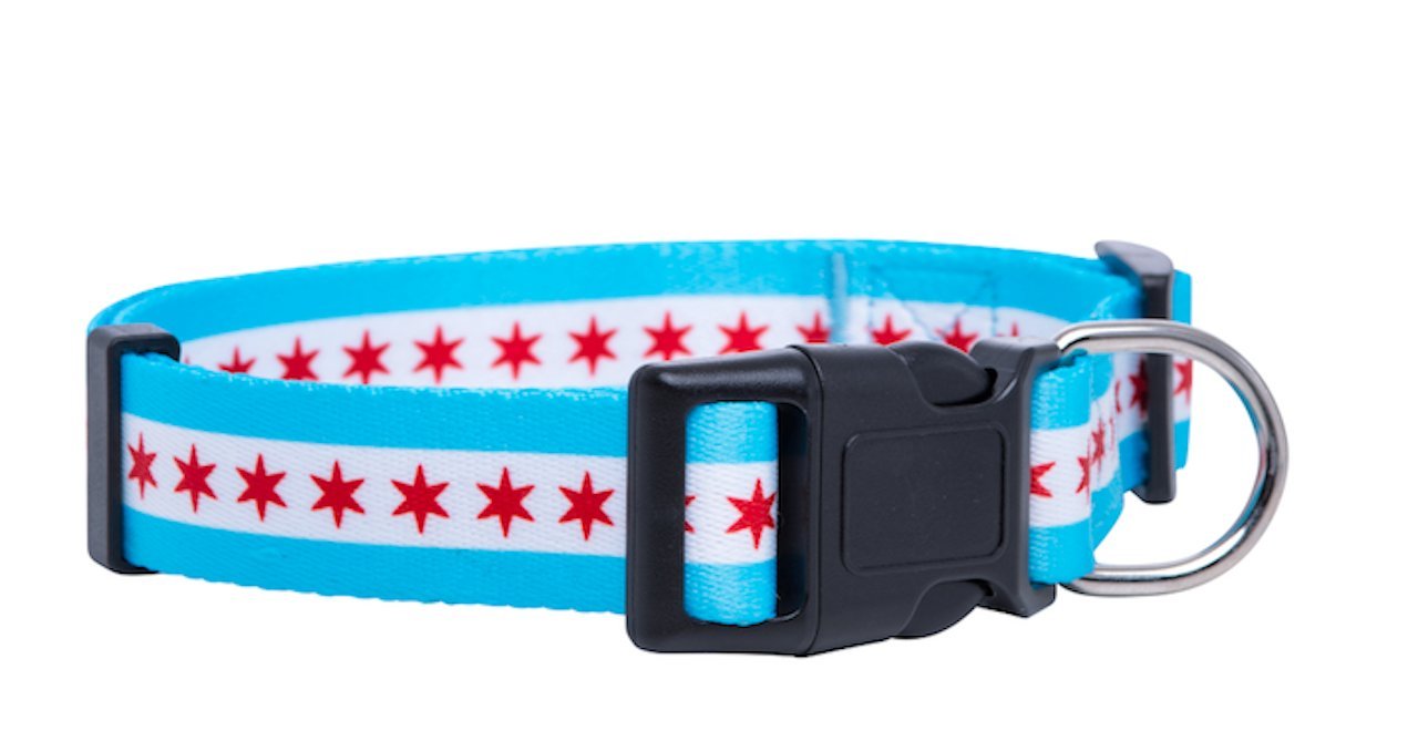 Native Pup Chicago Flag Dog Collar (Chicago, Medium)