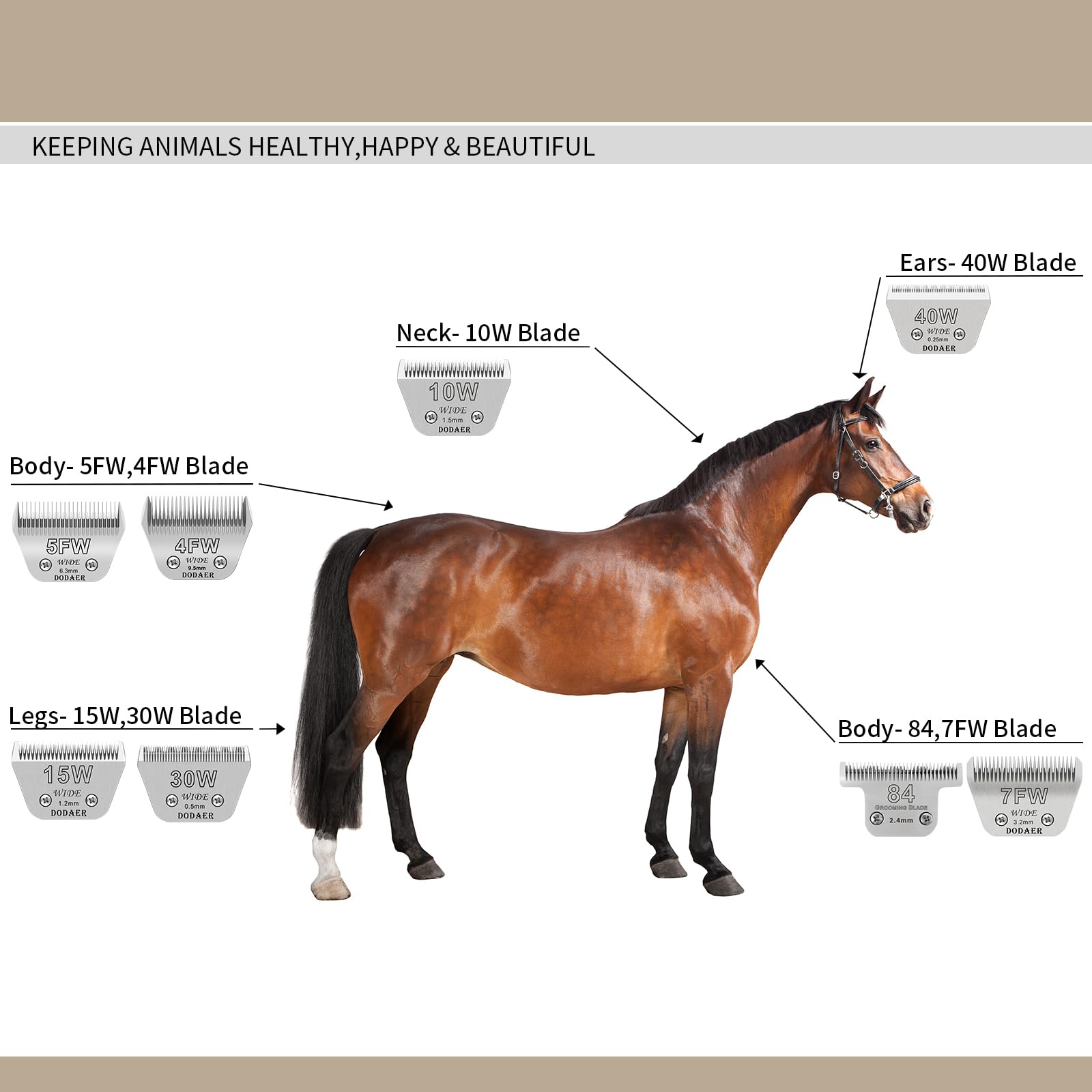 Dodaer 4 Pack Detachable Pet Dog Grooming Blades-Size 10W+7Fw+5Fw+4Fw Dog Grooming Wide Blade,Cutting Length 1/16 In -3/8 In(1.5