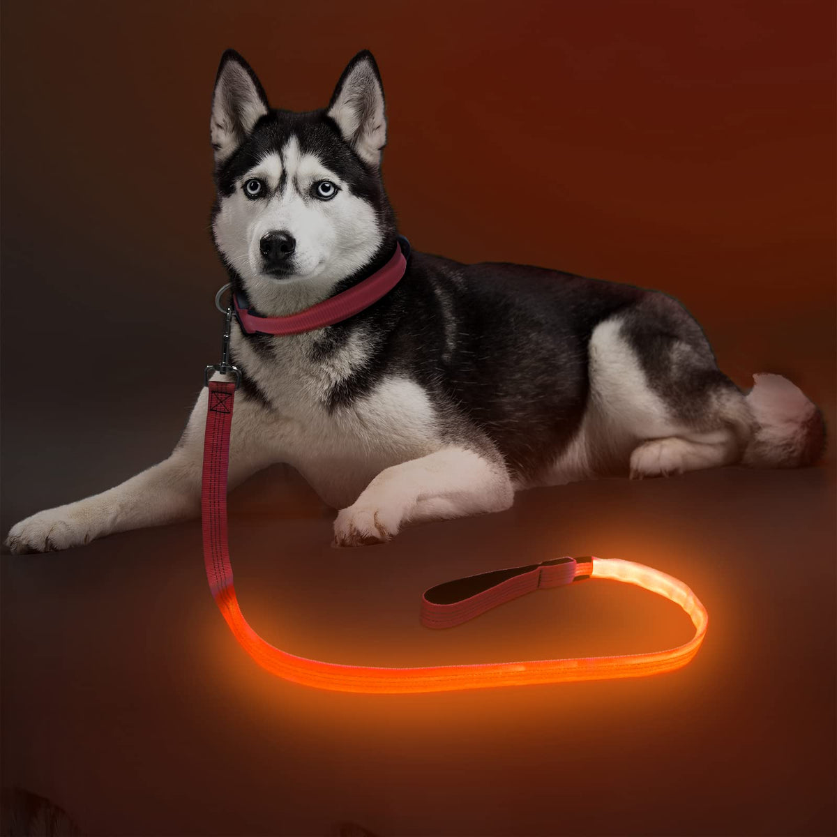 Colaseeme Led Dog Leash Light Up Dog Leash 4 Feet Micro Usb Rechargeable Nylon Webbing Glow Safety Standard Dog Leashes For Dogs (Orange With 3 Reflective Wires)