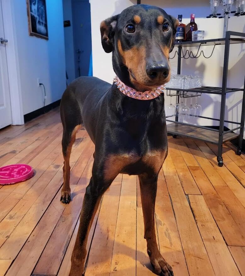 Serijoars Spiked Dog Collar Soft Pu Leather Mushrooms Rivet Spike Studded Dog Collar Adjustable Puppy Collars (L, Pink Set)