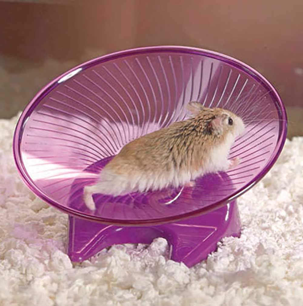 Ware Manufacturing Flying Saucer Exercise Wheel For Small Pets, 5-Inch - Colors May Vary