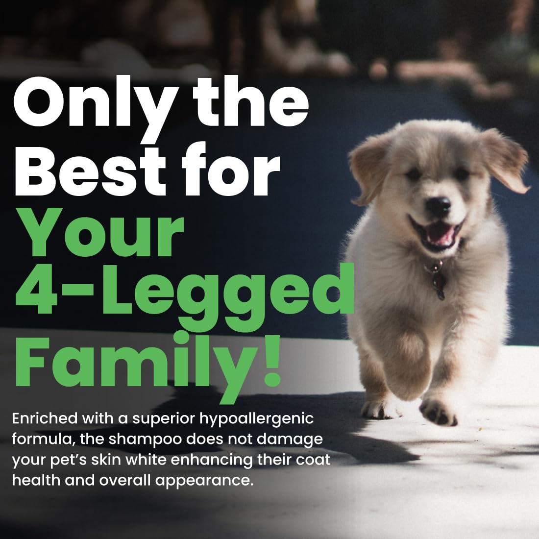 Best Shot Scentament Spa Caressing Body Wash, Cucumber Melon, 1 Gallon