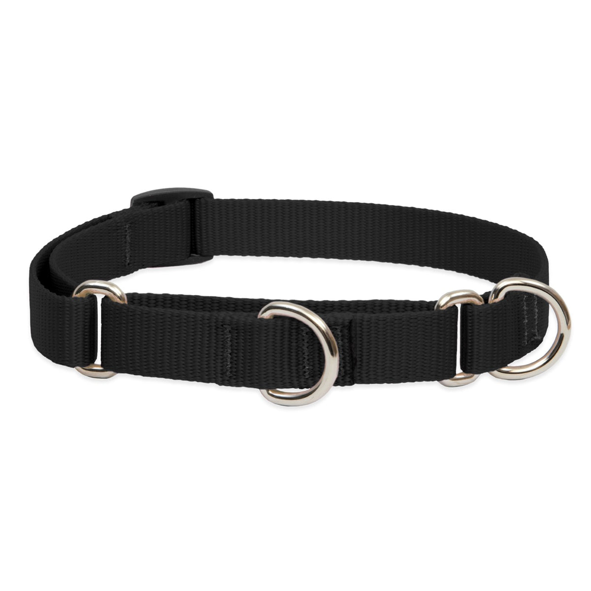 Lupinepet Basics 3/4' Black 10-14' Martingale Collar For Small Dogs