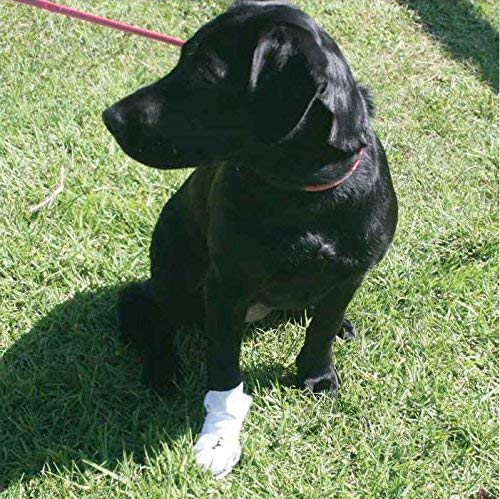 Wound Recovery Dog Boot 8-Pack By Nooby'S. Protects Wounds, Bandages And Medications Indoors And During Short Walks Outside. Medical Dog Booties For Maximum Wound Protection: (Sm 1.75' - 2.5' Width)