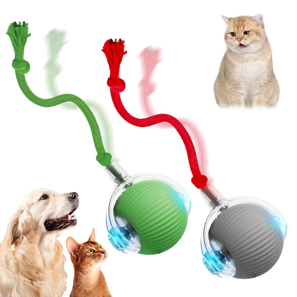 Ikarojsfii Interactive Cat Ball Toy, 2025 Upgraded Automatic Self-Rolling Toy With Cord Imitation Mouse For Bored Indoor Adult C