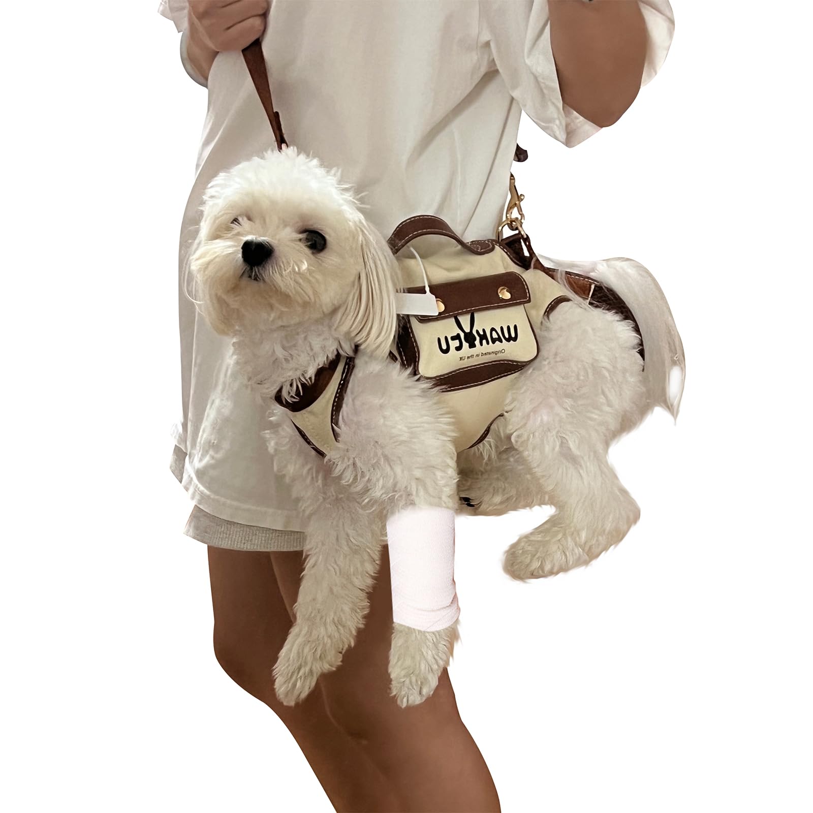 Wakytu Dog Lift Harness Dog Carrier VES Harness Adjustable Leash with Small Puppy Treat Bag,Fits Most Cars,M
